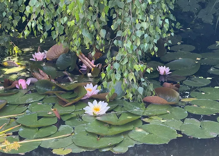 柏林别墅